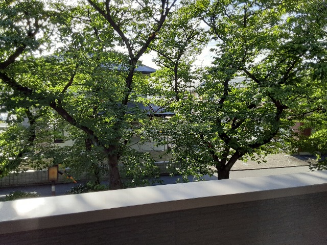 17/30 その他画像