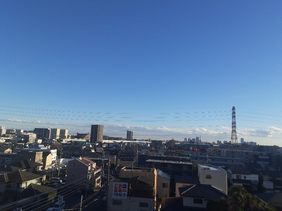 20/30 その他画像