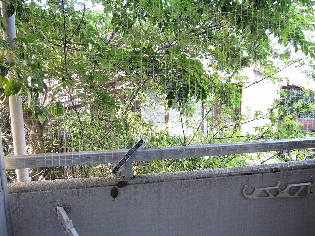 12/25 その他画像