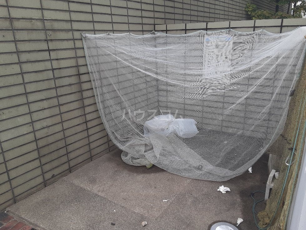 13/21 その他画像