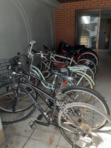 15/25 その他画像