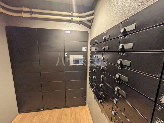 20/30 その他画像