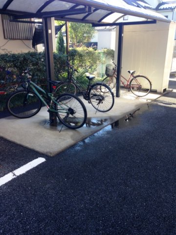 13/25 その他画像