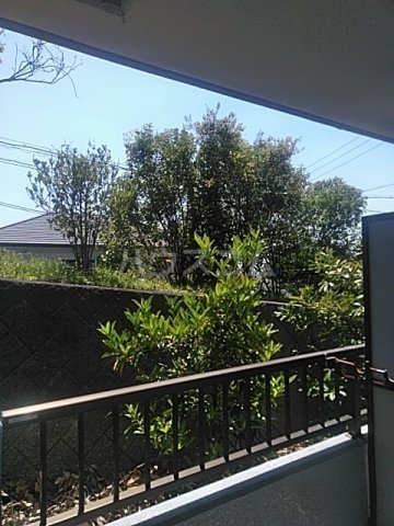 16/21 その他画像