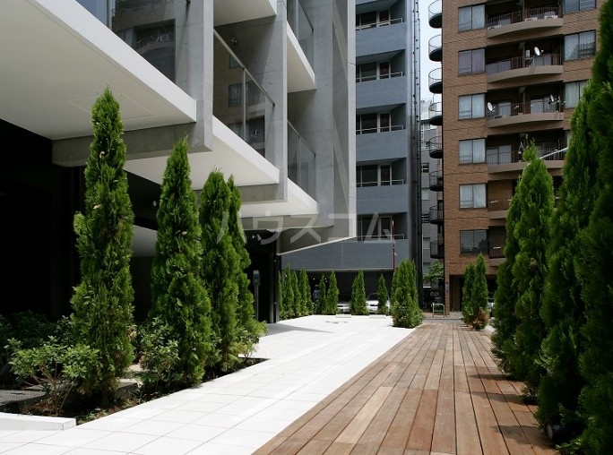 6/16 その他画像