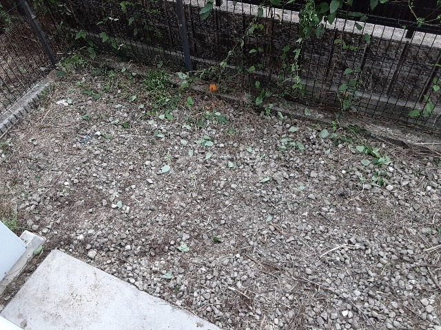 22/28 その他画像