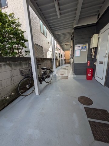 20/30 その他画像