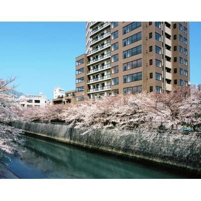 15/20 その他画像