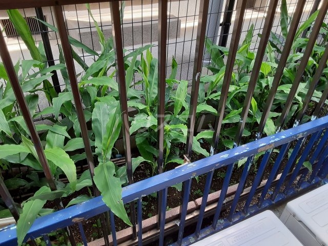 17/22 バルコニー