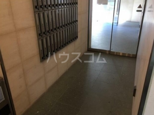 5/17 その他画像