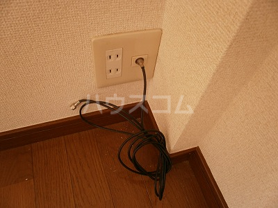 17/29 その他画像