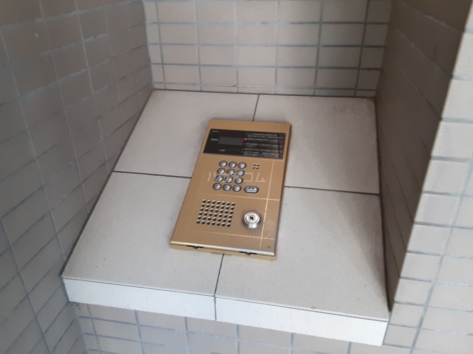 21/28 その他画像