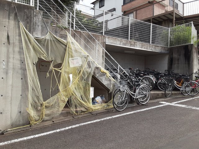 20/30 その他画像