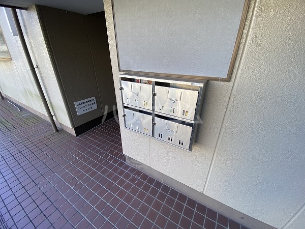 21/26 その他画像