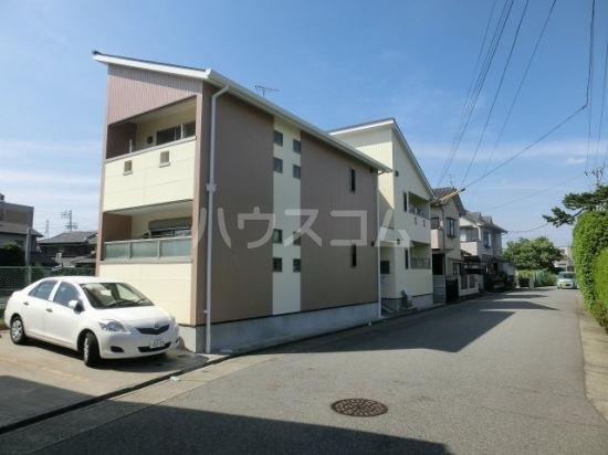 20/30 その他画像