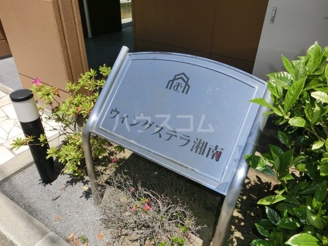 15/17 その他画像