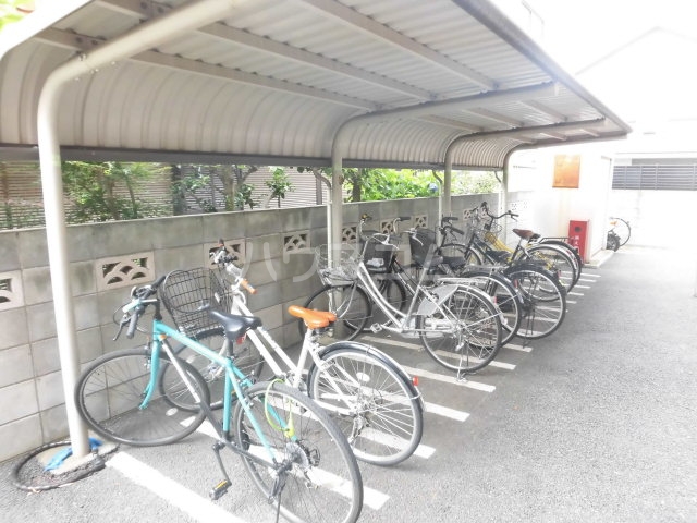 15/18 その他画像