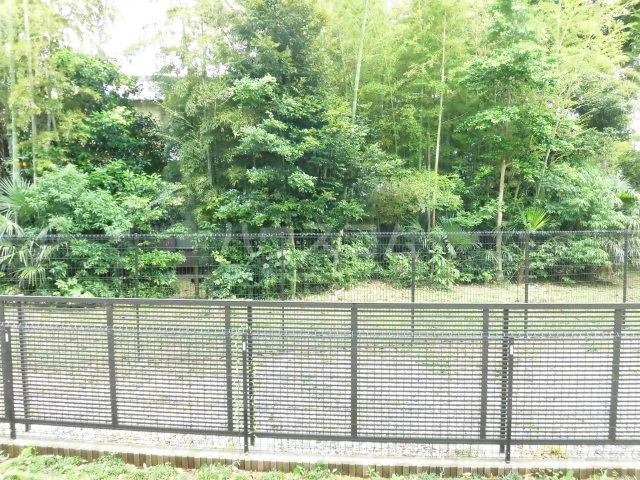 11/21 その他画像