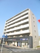 1/29 外観