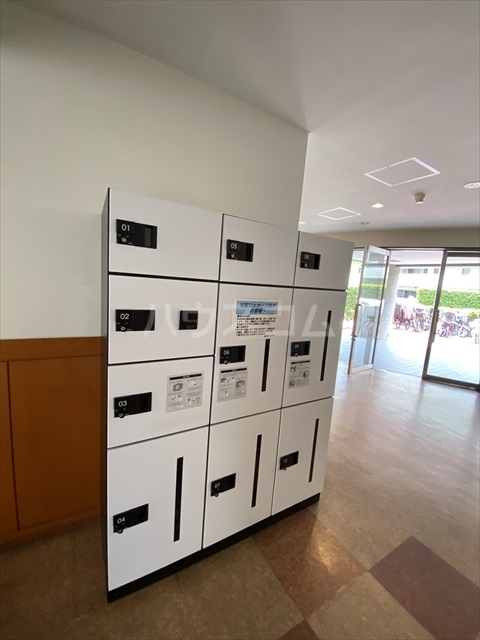 19/29 その他画像