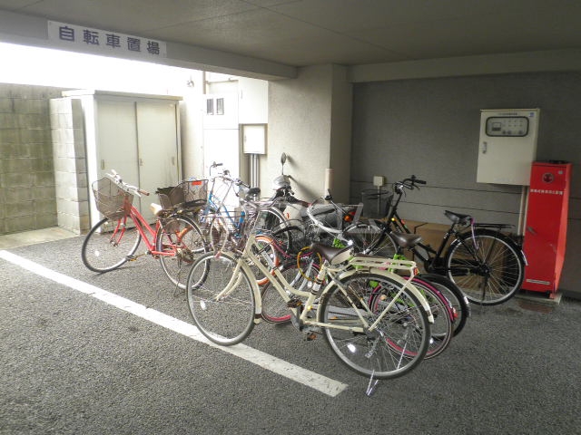 20/30 その他画像