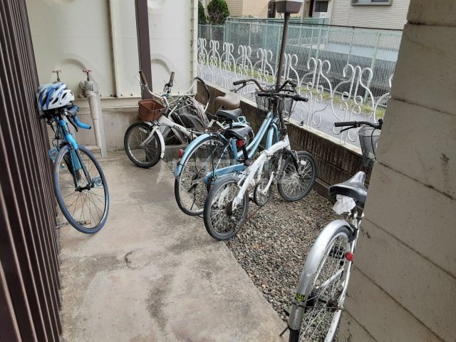 20/30 その他画像