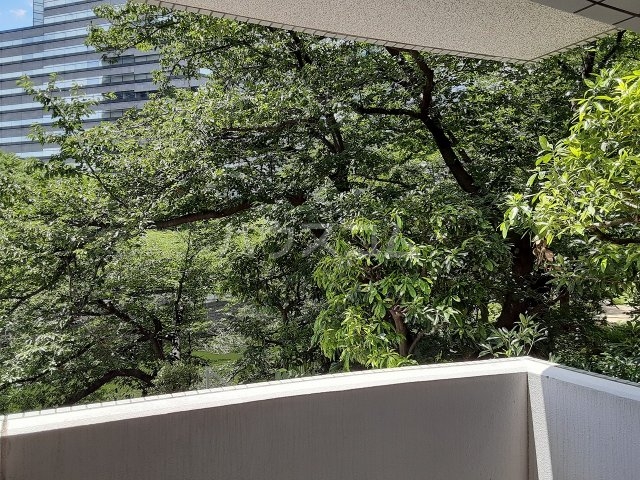 17/25 その他画像