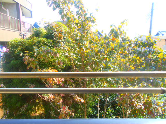 19/30 その他画像