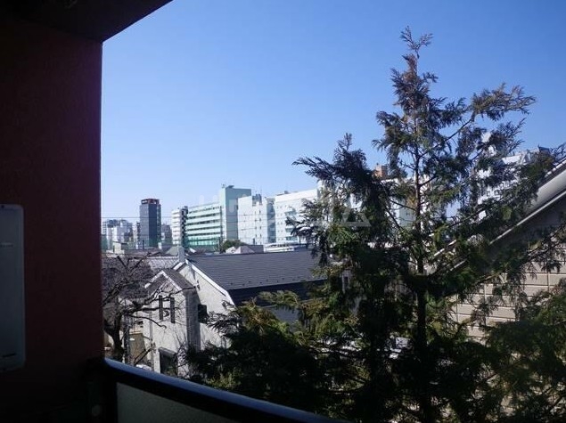 19/21 その他画像