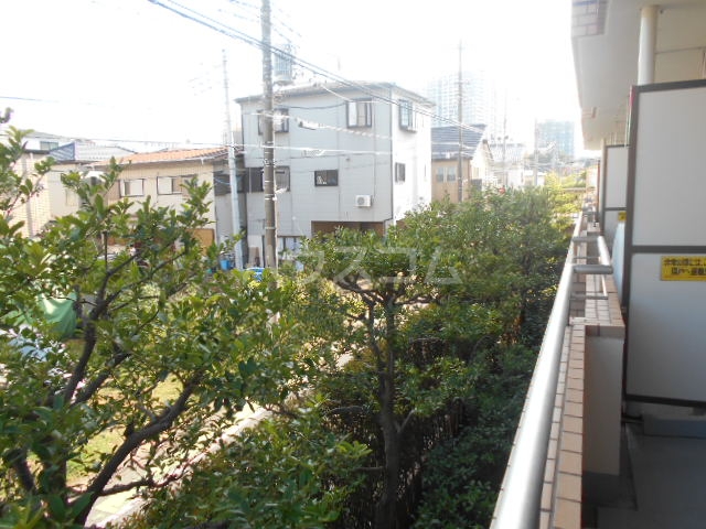 15/29 その他画像