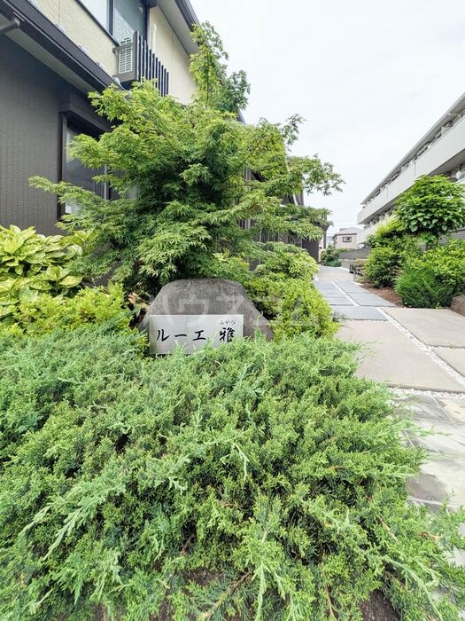 11/18 その他画像