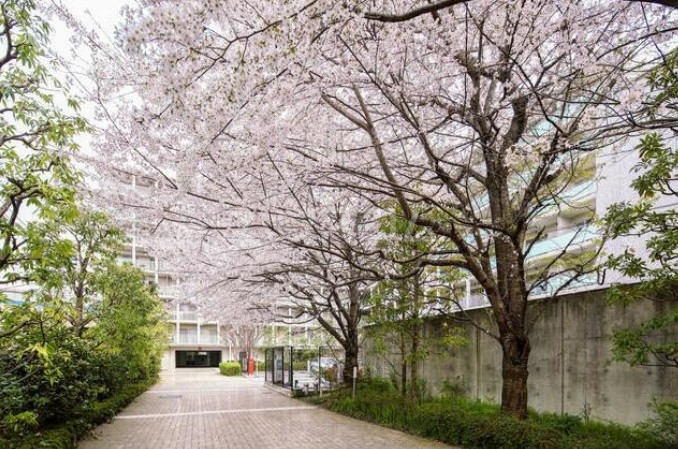 16/30 その他画像