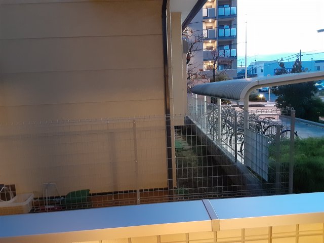 14/29 その他画像