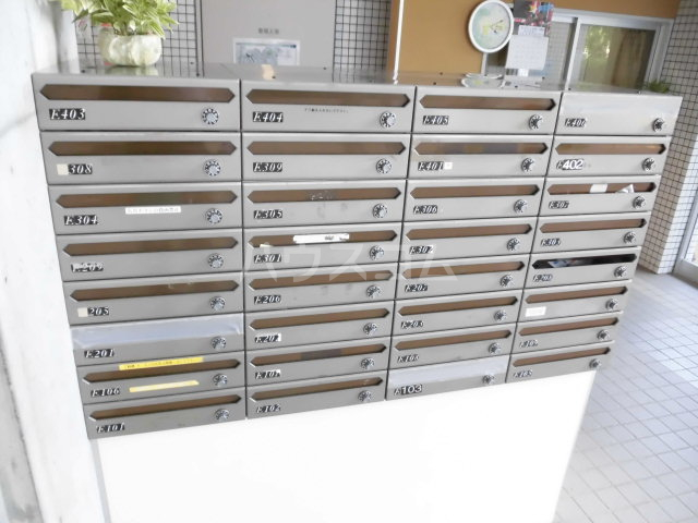 3/16 その他画像