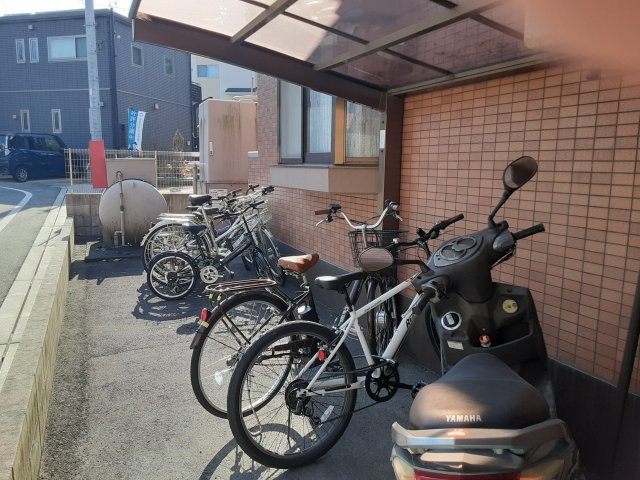 20/30 その他画像