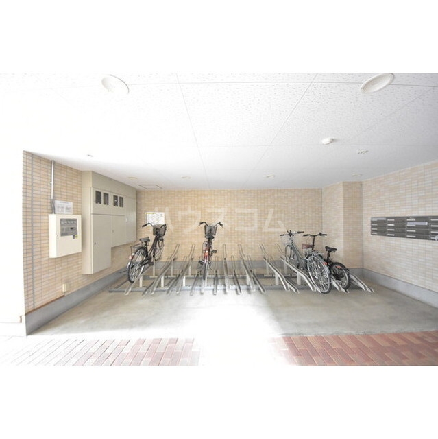 8/17 その他画像