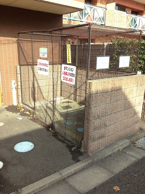 17/29 その他画像