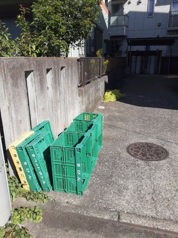 20/30 その他画像