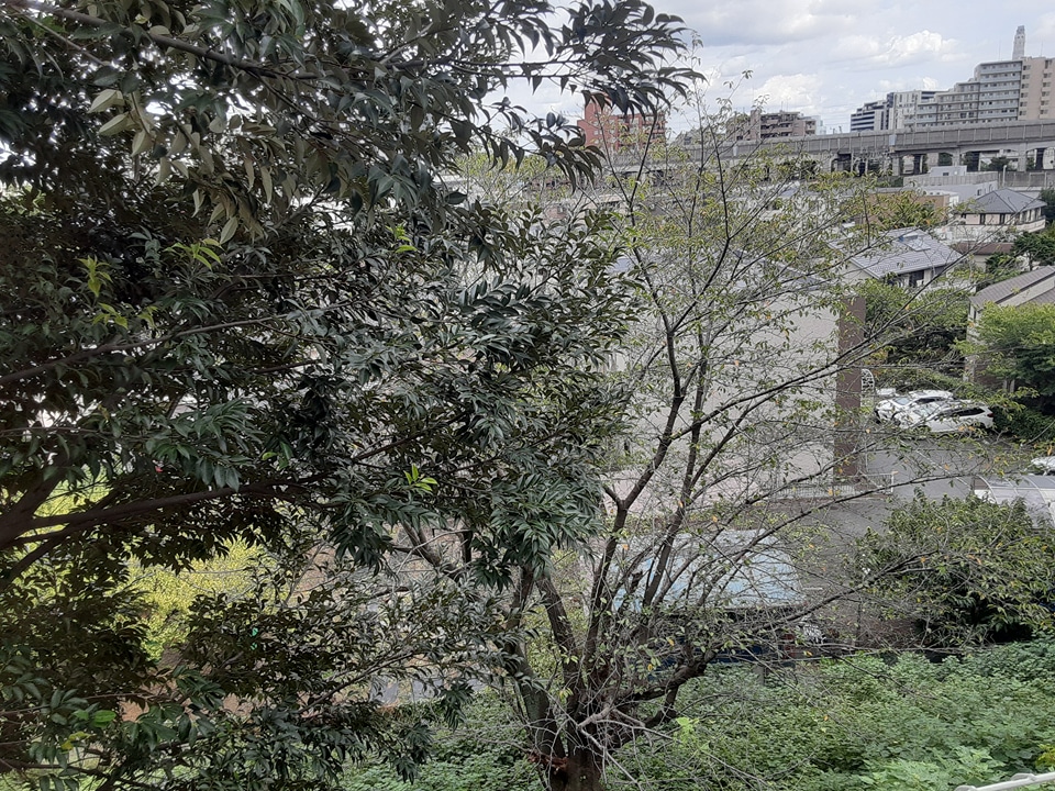 15/23 その他画像