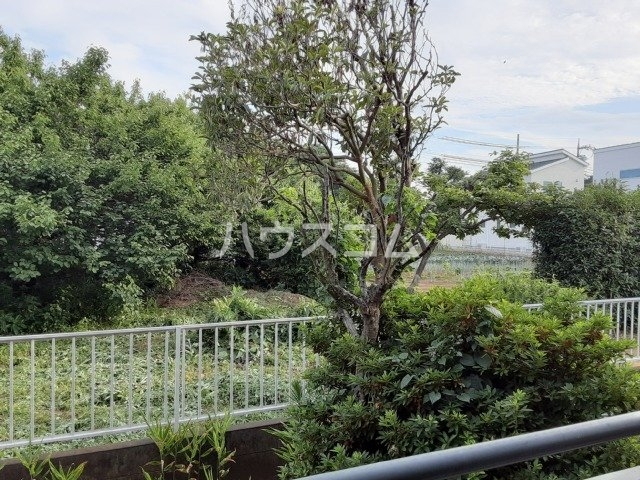 11/19 その他画像