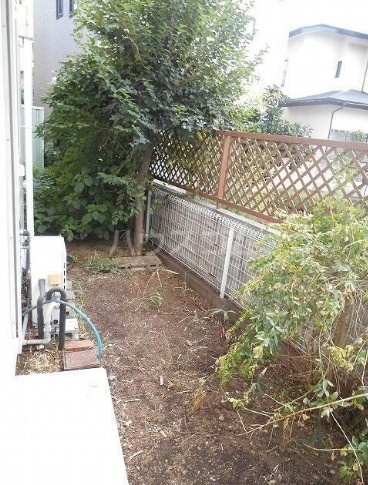 11/16 その他画像