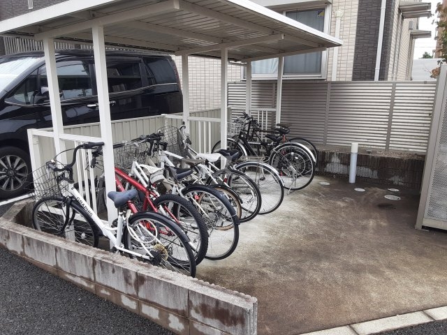 20/30 その他画像
