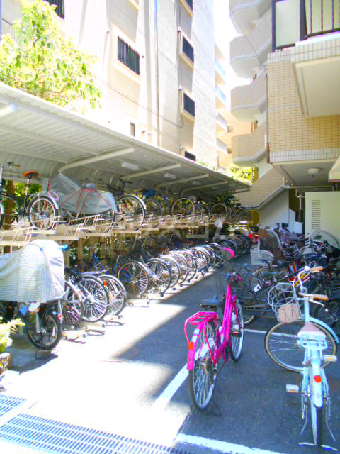 25/30 その他画像