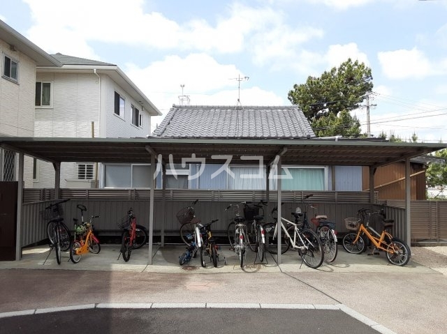 20/30 その他画像