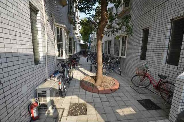 13/22 その他画像