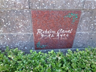 19/29 その他画像