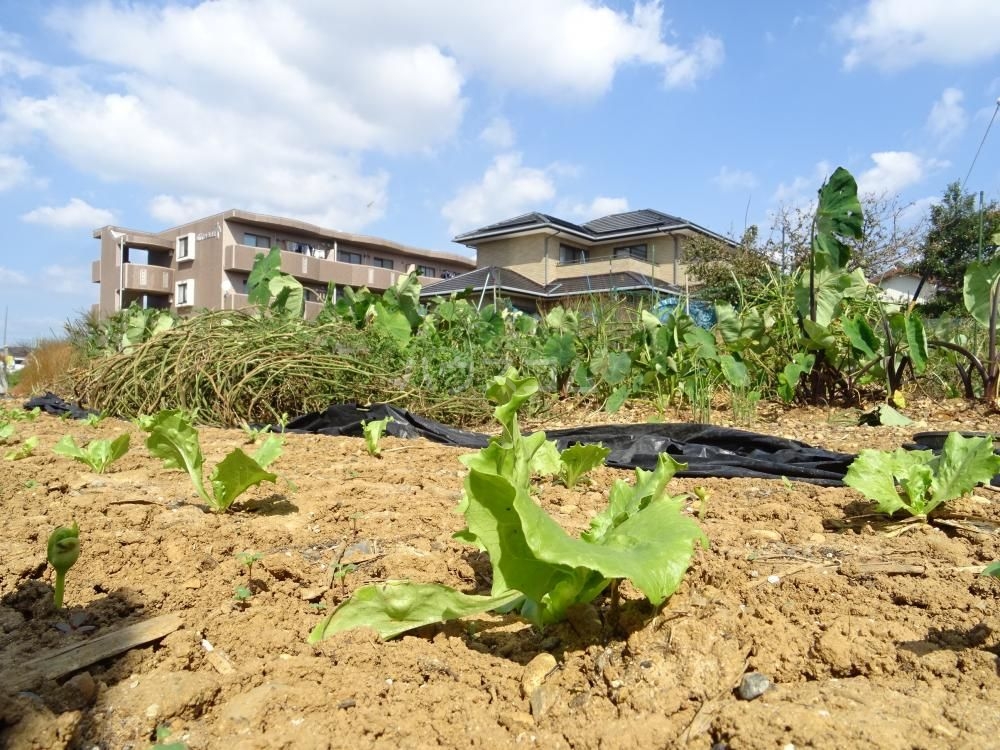 21/28 その他画像