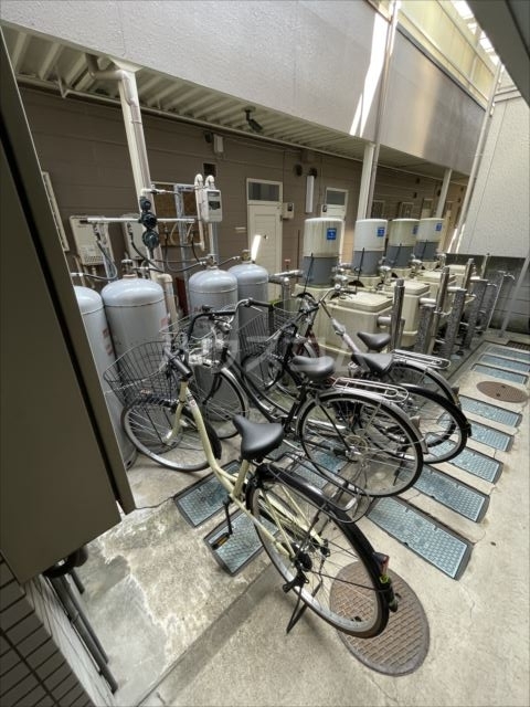 20/30 その他画像