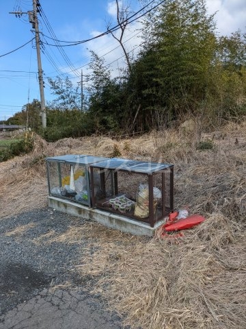 21/30 その他画像