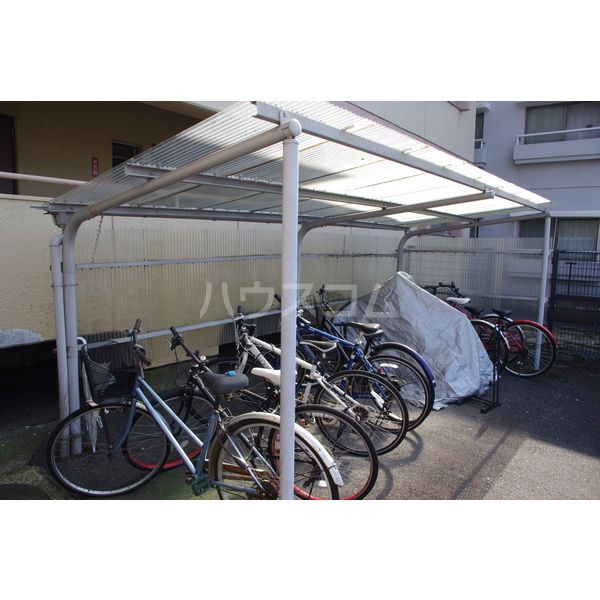 5/17 その他画像